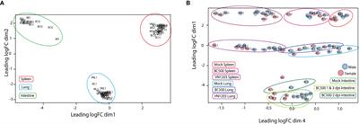 Tissue Specific Transcriptome Changes Upon Influenza A Virus Replication in the Duck